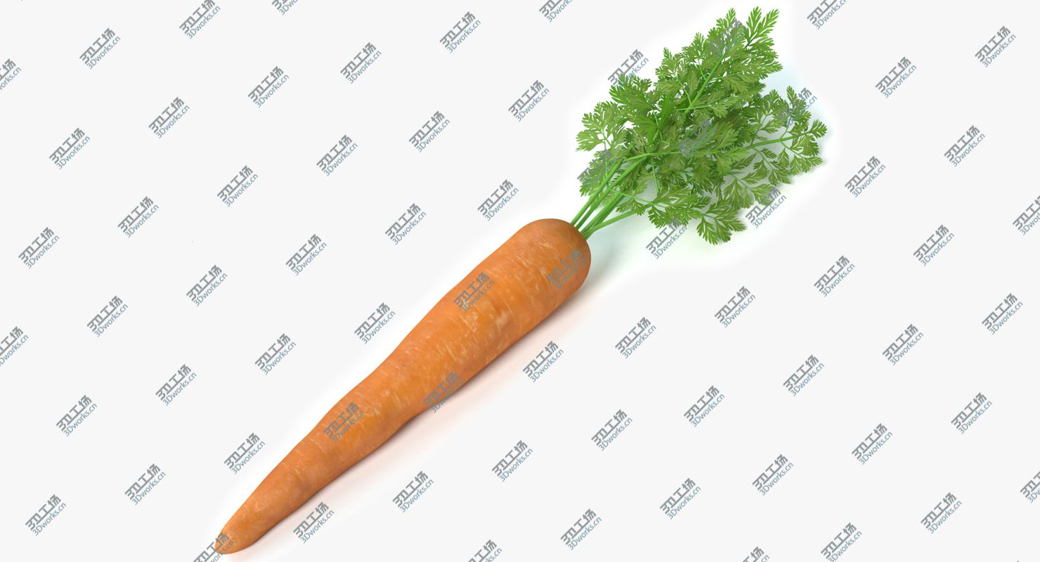 images/goods_img/2021040235/Carrot 2/2.jpg